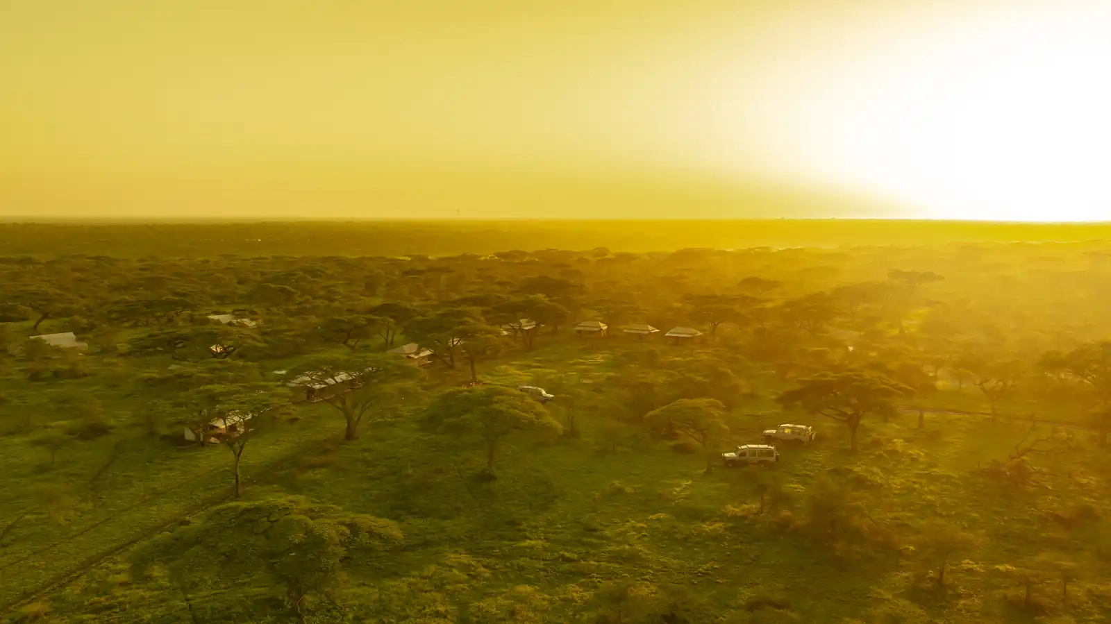 Serengeti National Park image two