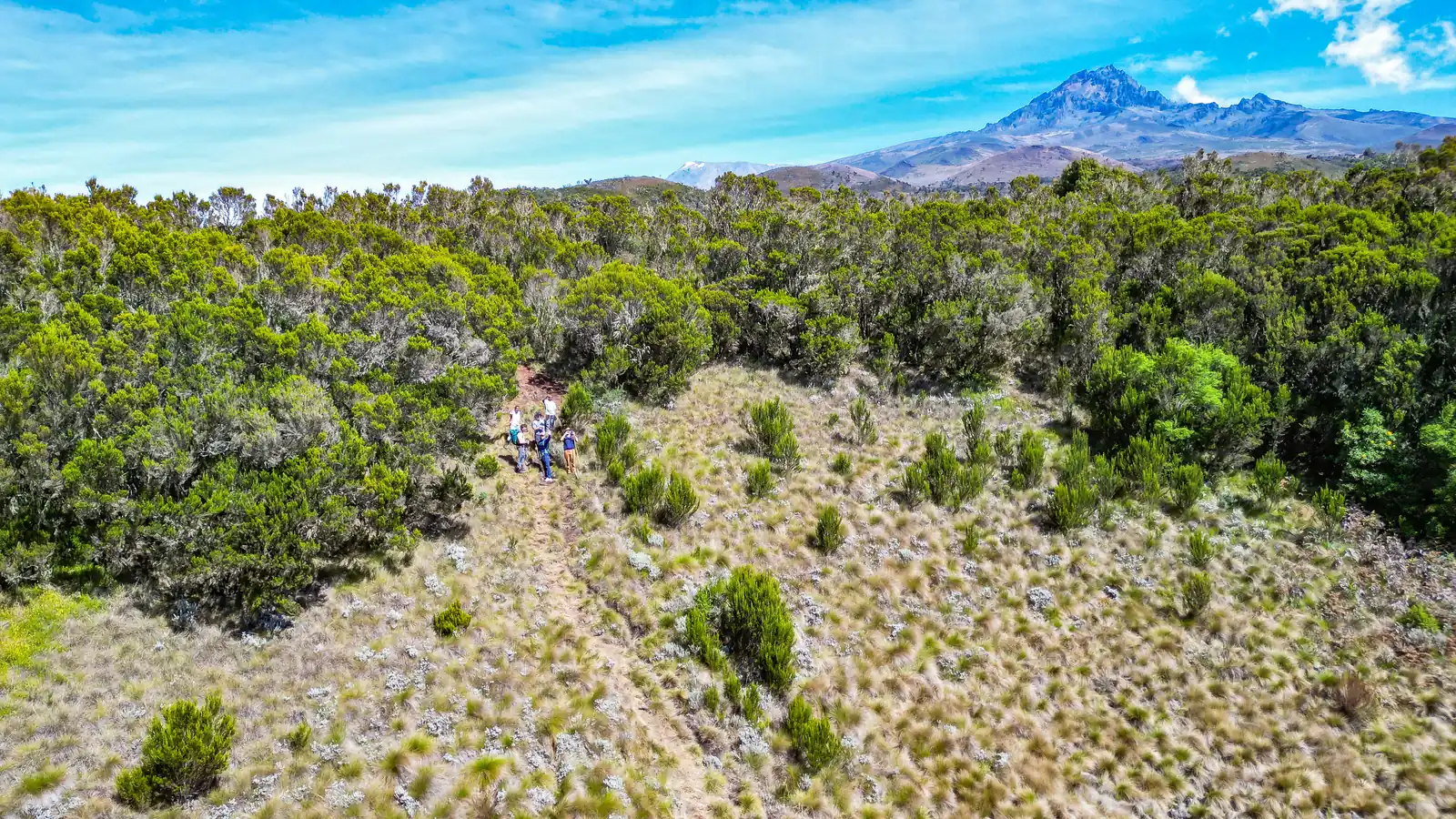 Kilimanjaro image three