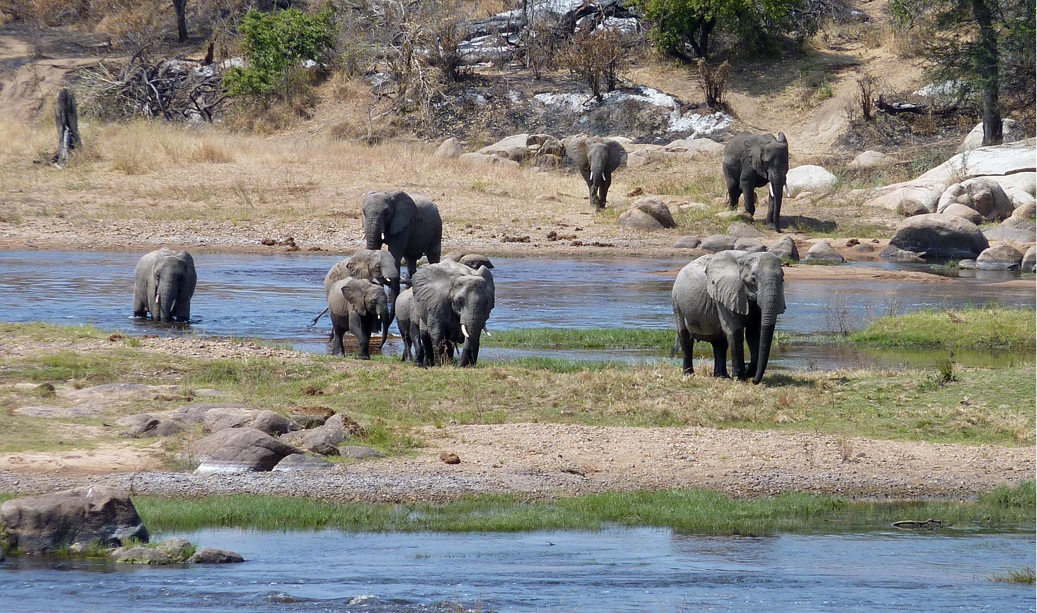 Serengeti National Park image three
