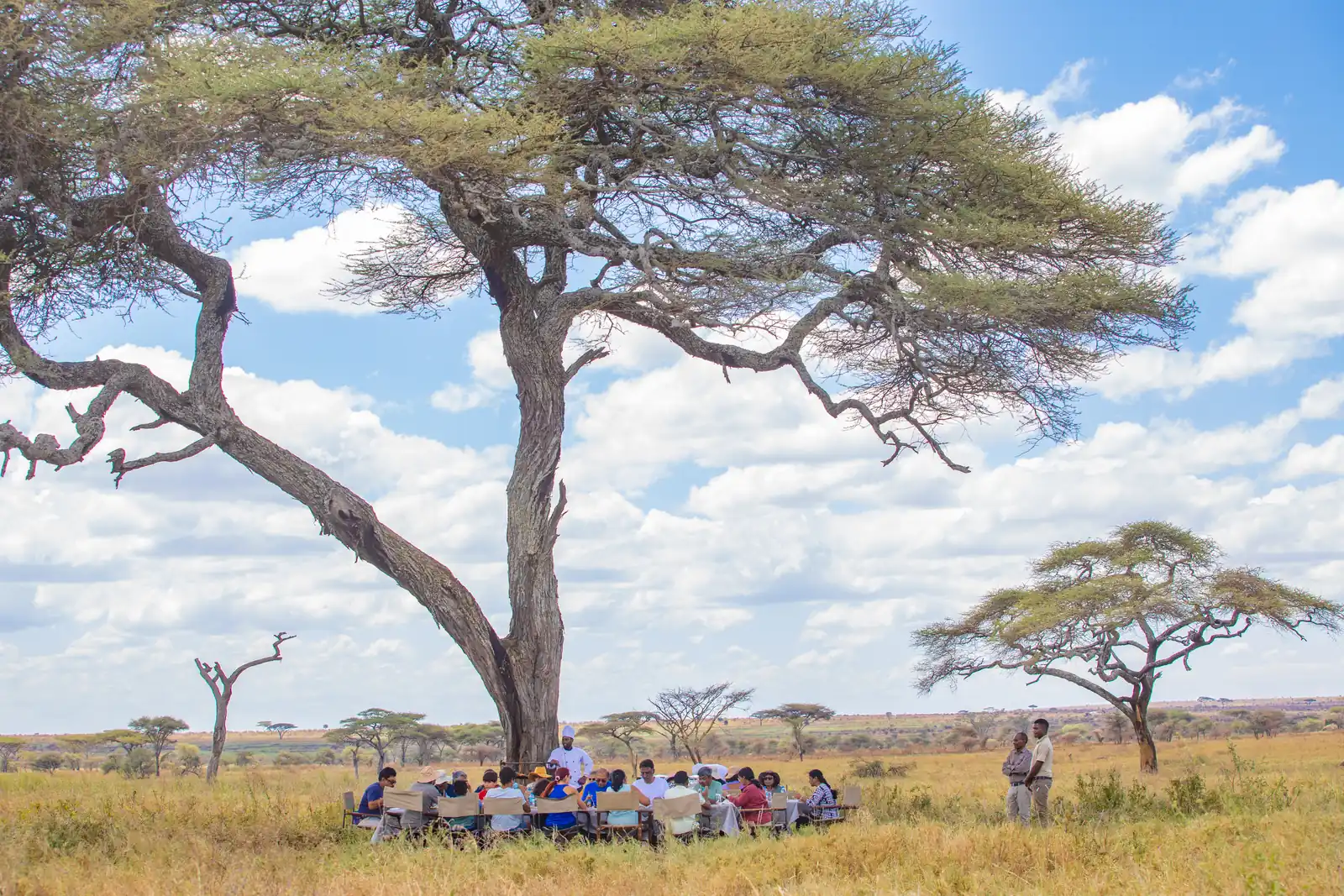 connecting with nature